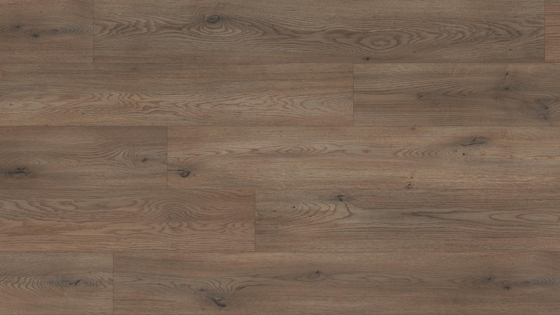 Cremona Tartufo tölgy - vízálló laminált padló 10 mm - Image 3